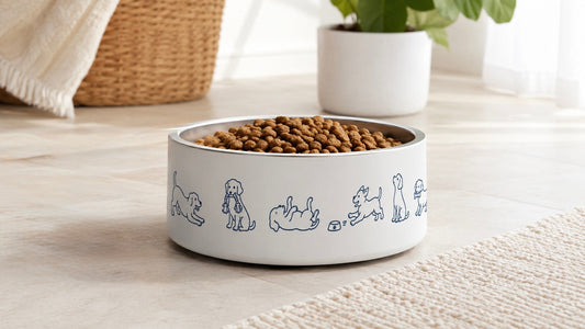 White double-wall stainless steel dog bowl filled with kibble, wrapped in a blue line-art border of dogs stretching, holding a rope toy, rolling over, and running to their bowl, styled on a tiled floor near a woven basket and potted plant
