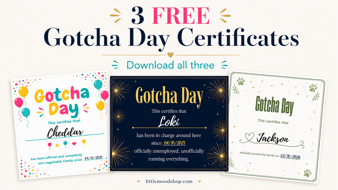 "3 FREE Gotcha Day Certificates, Download all three" graphic showing three certificate designs side by side.