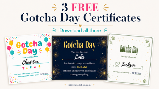 "3 FREE Gotcha Day Certificates, Download all three" graphic showing three certificate designs side by side.