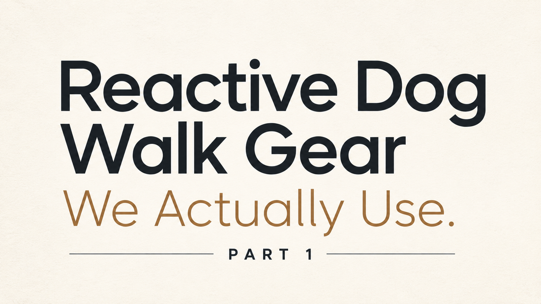 Text saying "Reactive dog walk gear we actually use. Part 1" on a cream background.