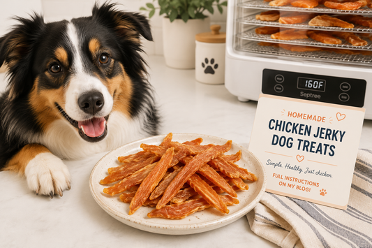 A tri-color Australian Shepherd lying down and smiling at the camera beside a speckled ceramic plate piled high with chicken jerky strips