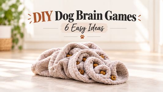 DIY dog brain game using a rolled towel with hidden treats for an easy at-home enrichment activity.
