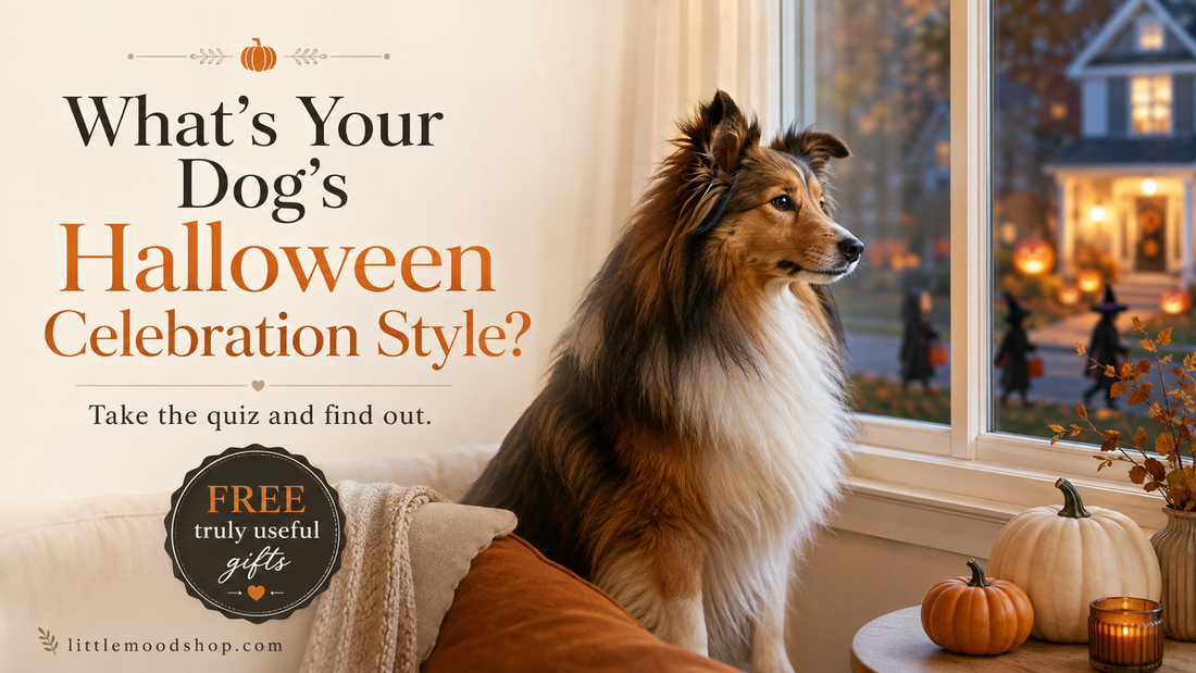 A fluffy sable-and-white collie sits on a couch, watching trick-or-treaters through a window at dusk. Text reads: "What's Your Dog's Halloween Celebration Style? Take the quiz and find out." Badge: "Free truly useful gifts." littlemoodshop.com