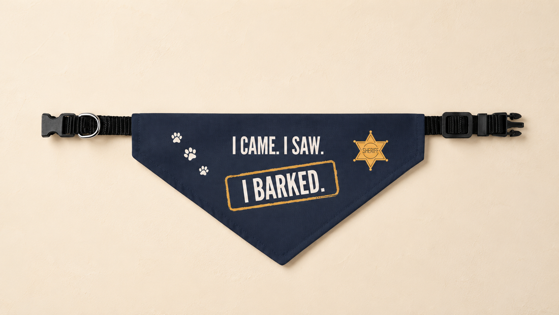 Navy blue dog bandana with white paw prints and a mustard-gold sheriff badge reading "SHERIFF," printed with "I CAME. I SAW." and a stamped "I BARKED." box, clipped onto a black adjustable collar with a silver D-ring, laid flat on a cream background
