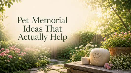 Pet memorial garden with a paw print stone, candle, and flowers in warm sunlight, featuring the text “Pet Memorial Ideas That Actually Help.”
