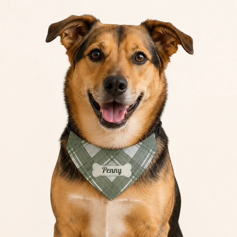 Personalized Dog Collar Bandana with Name, Custom Plaid Pet Bandana Collar, Dog Mom Gift, New Puppy Gift