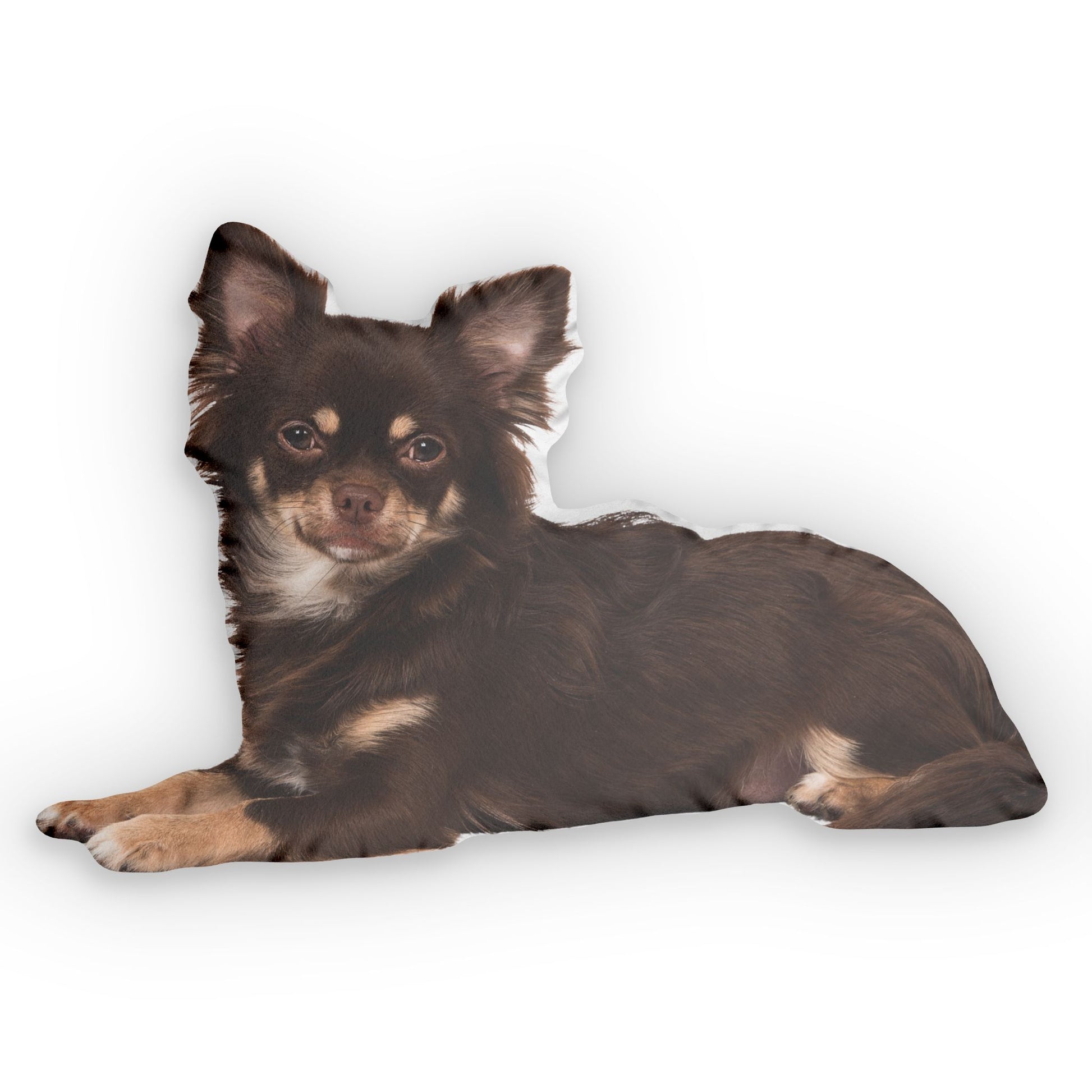 Custom long-haired chihuahua photo pillow shown in a lying-down pose