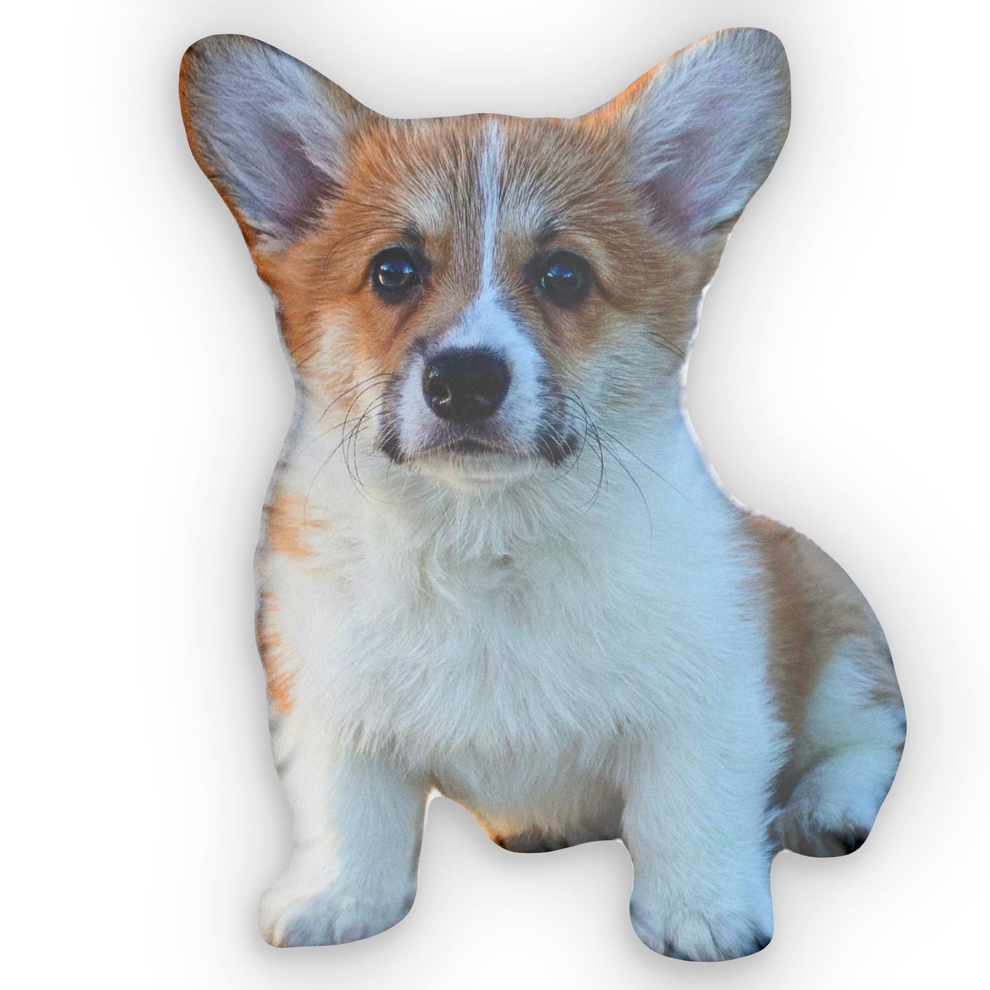 Custom corgi puppy photo pillow shown from the front on a white background