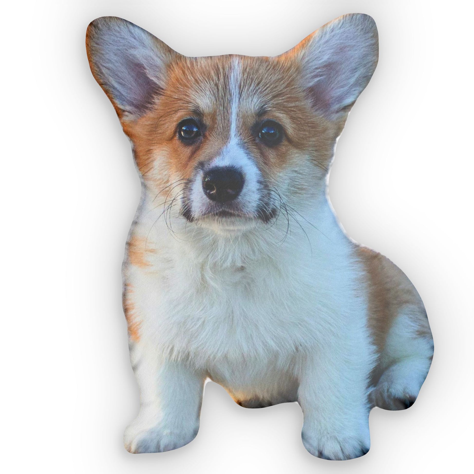 Custom corgi puppy photo pillow shown from the front on a white background
