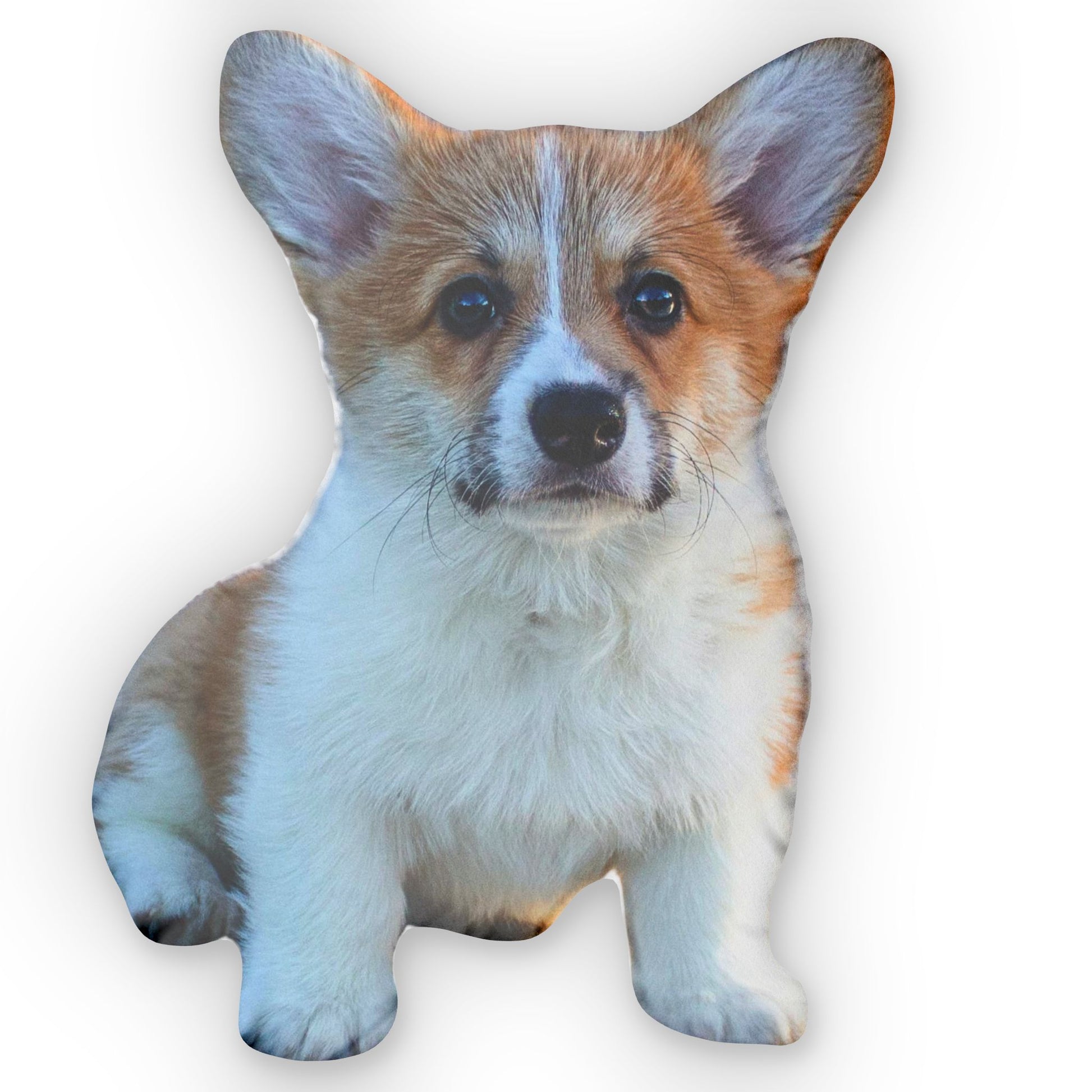 Custom corgi puppy photo pillow in a seated pose on a white background