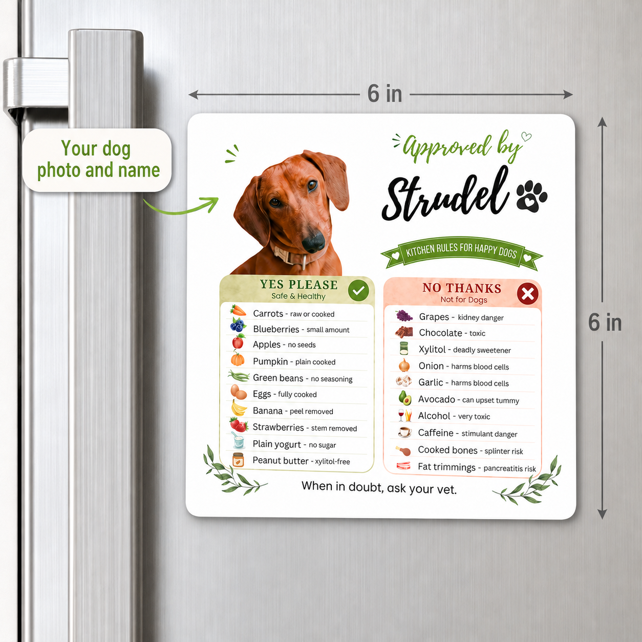 Custom dog magnet shown at its actual 6 x 6 inch size with a dachshund's photo and safe-food chart.