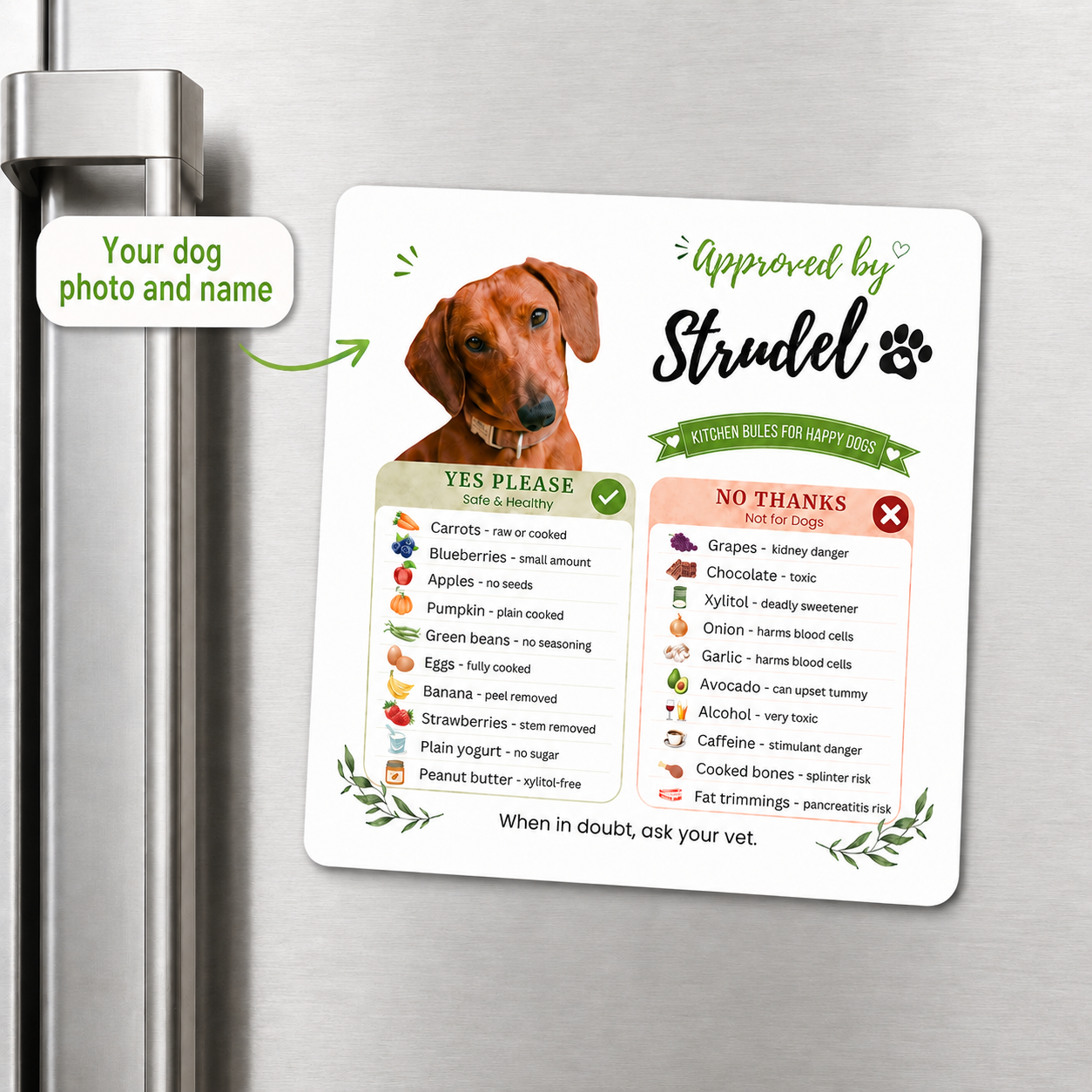 Close-up of a custom dog magnet with a dachshund's photo, name, and safe-food reminders on a fridge.