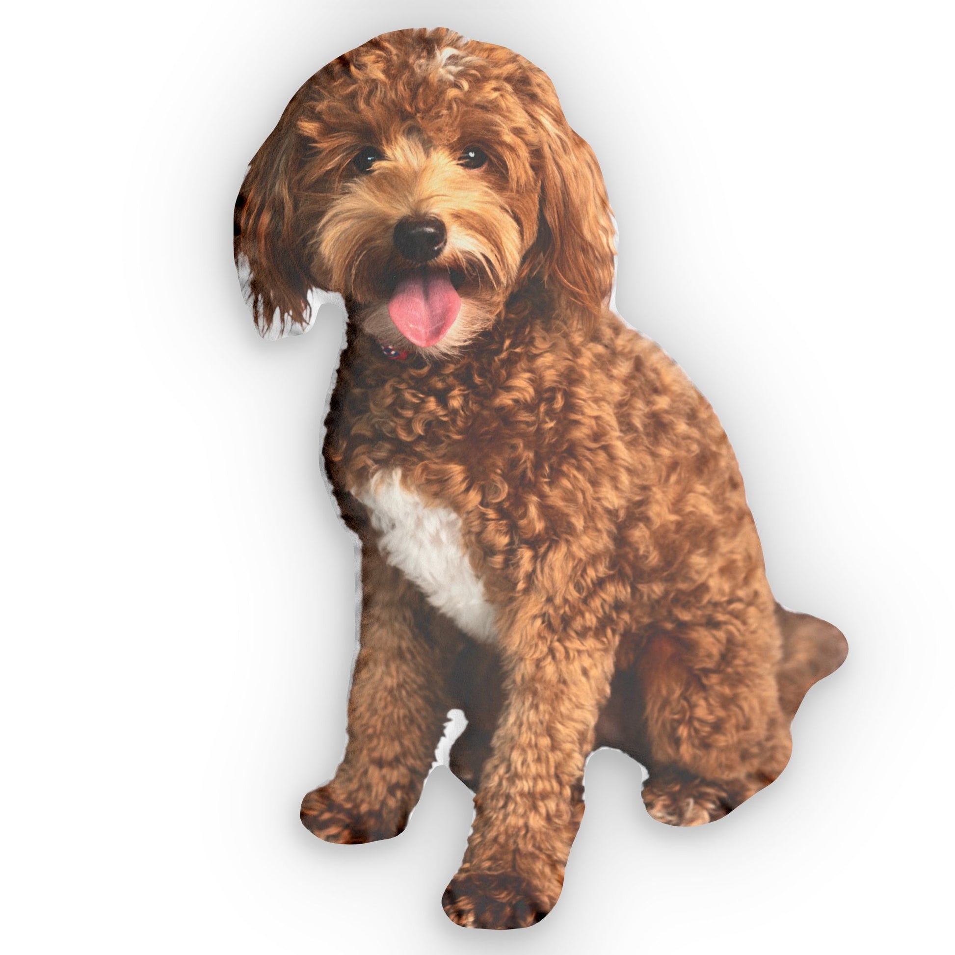 Custom goldendoodle photo pillow in a seated pose on a white background