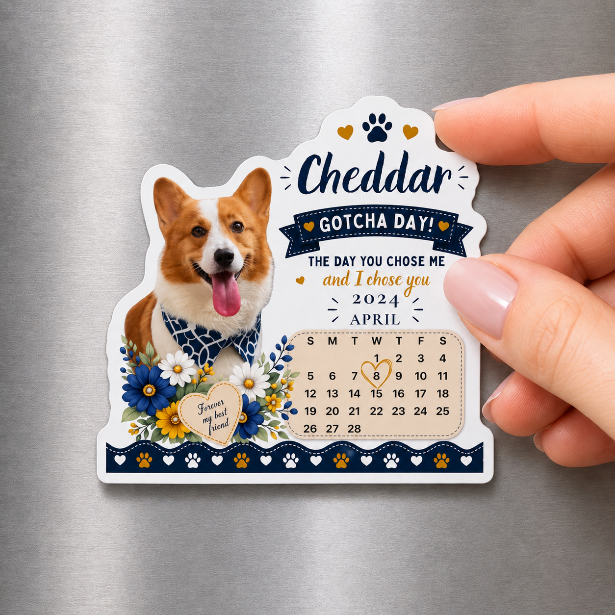 Custom Gotcha Day dog magnet featuring a corgi held up against a stainless steel fridge, April 2024 date.