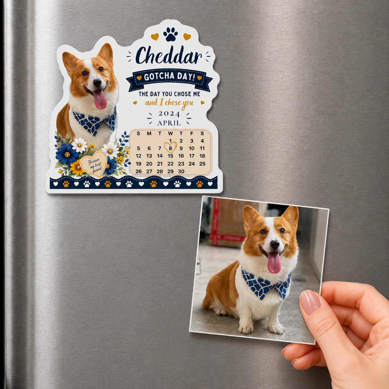 Custom Gotcha Day dog magnet for a corgi shown on the fridge next to its matching source photo.