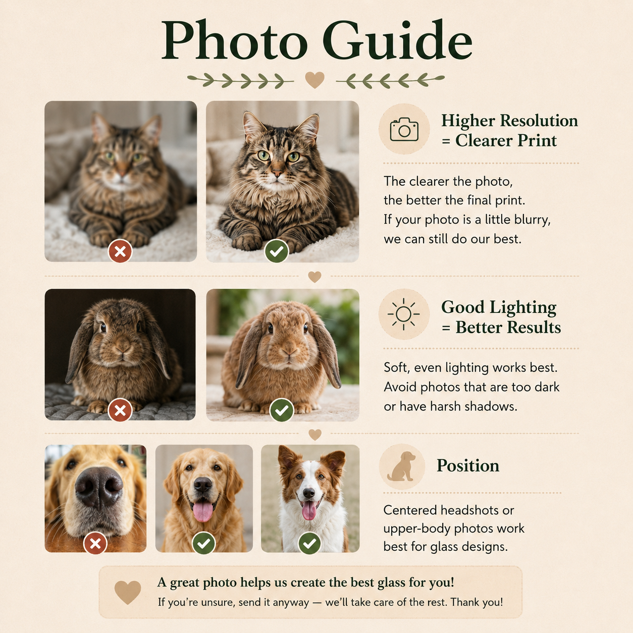 Photo guide showing good vs. poor pet photo examples for resolution, lighting, and framing