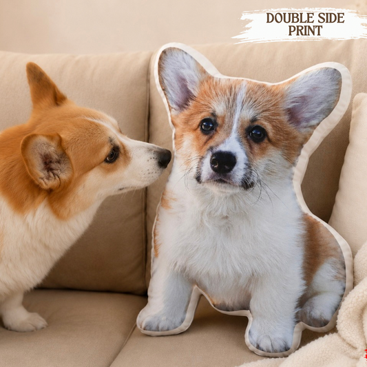 Custom corgi photo pillow on a couch next to the real dog, double-sided print