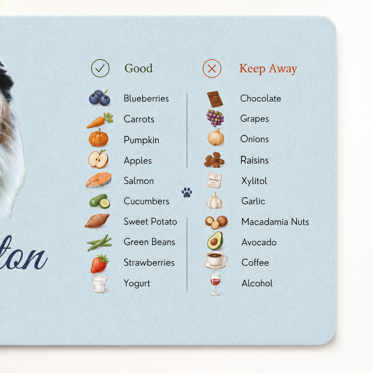 Close-up of the dog food mat's printed Good and Keep Away food columns, from blueberries to chocolate.
