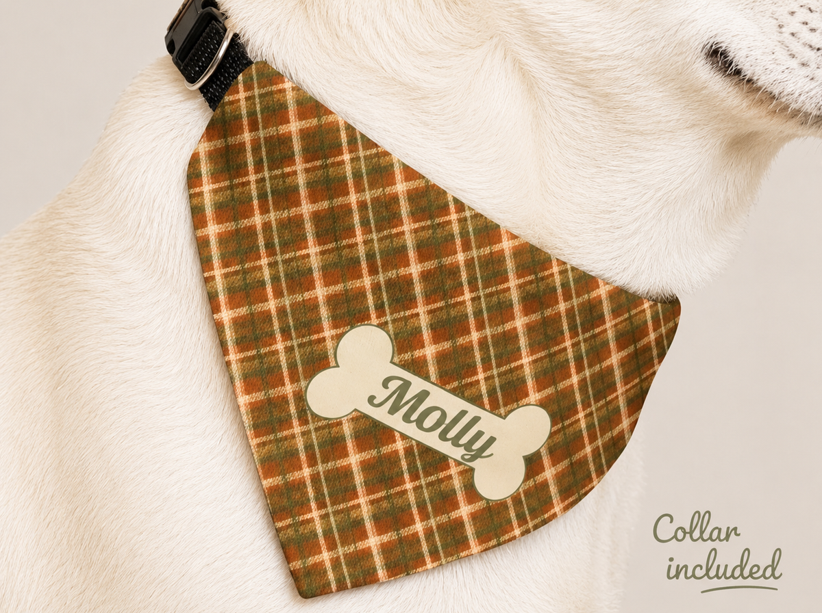 White dog in a rust and olive plaid dog bandana with the name Molly, labelled Collar included in the lower corner.