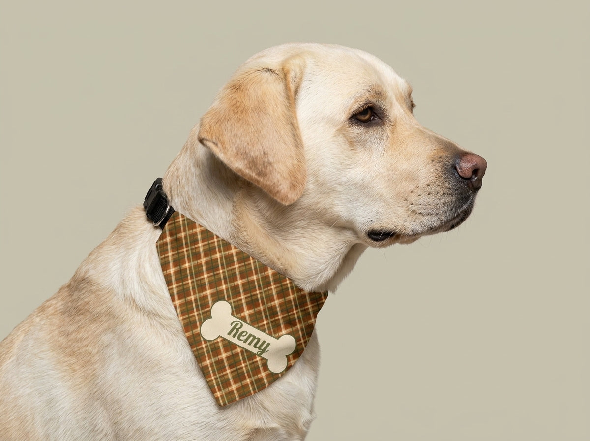 Yellow Labrador wearing the size XL fall plaid dog bandana with the name Remy on the bone patch.