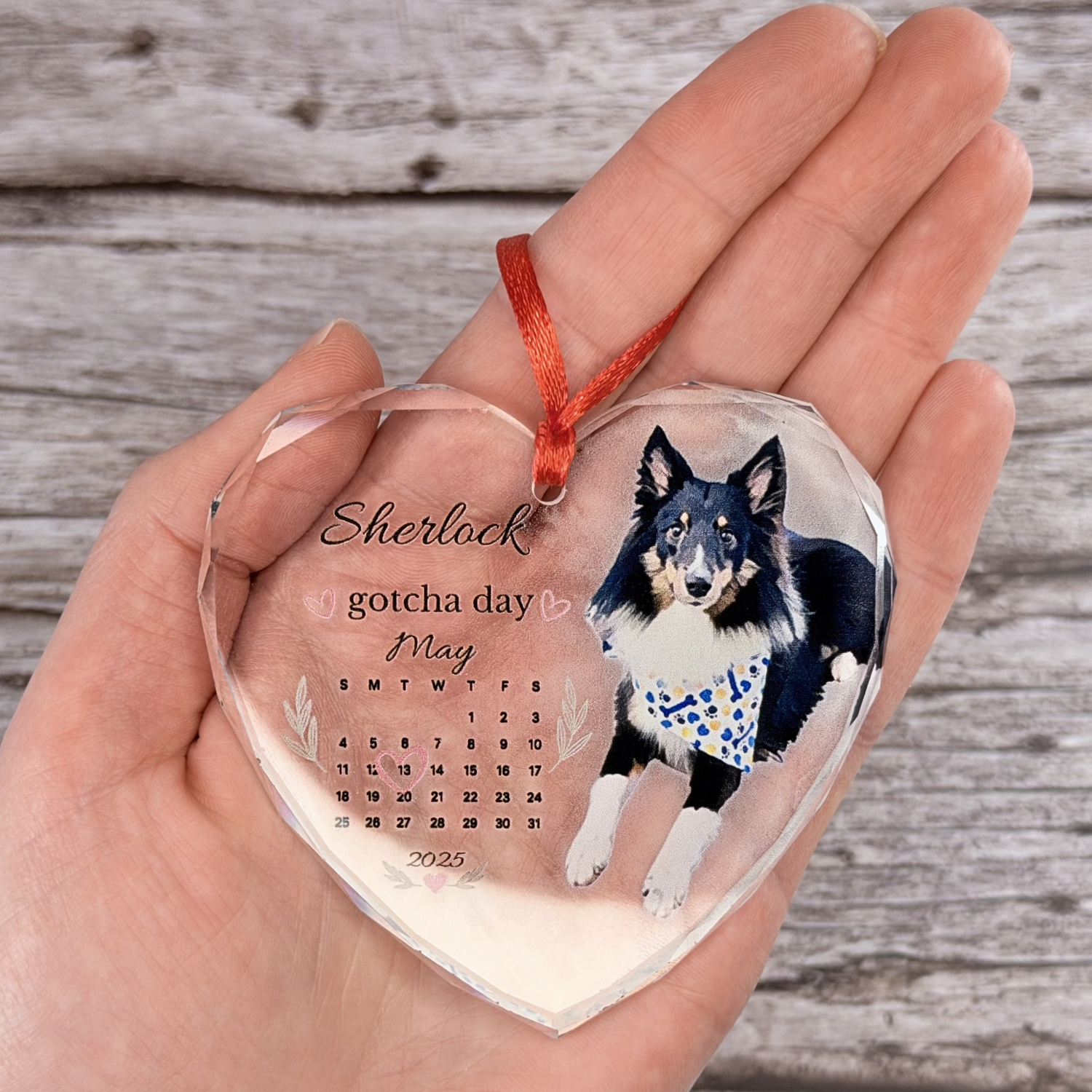 Personalized border collie ornament held in an open palm against a wood background.