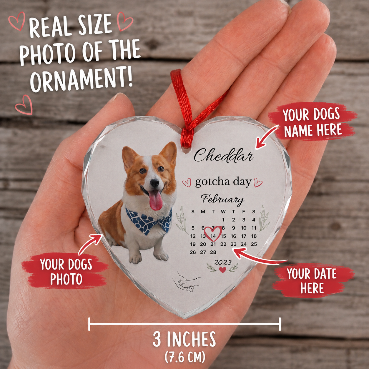 Close-up of the true-to-size 3-inch crystal ornament showing where the dog's photo, name, and date go.
