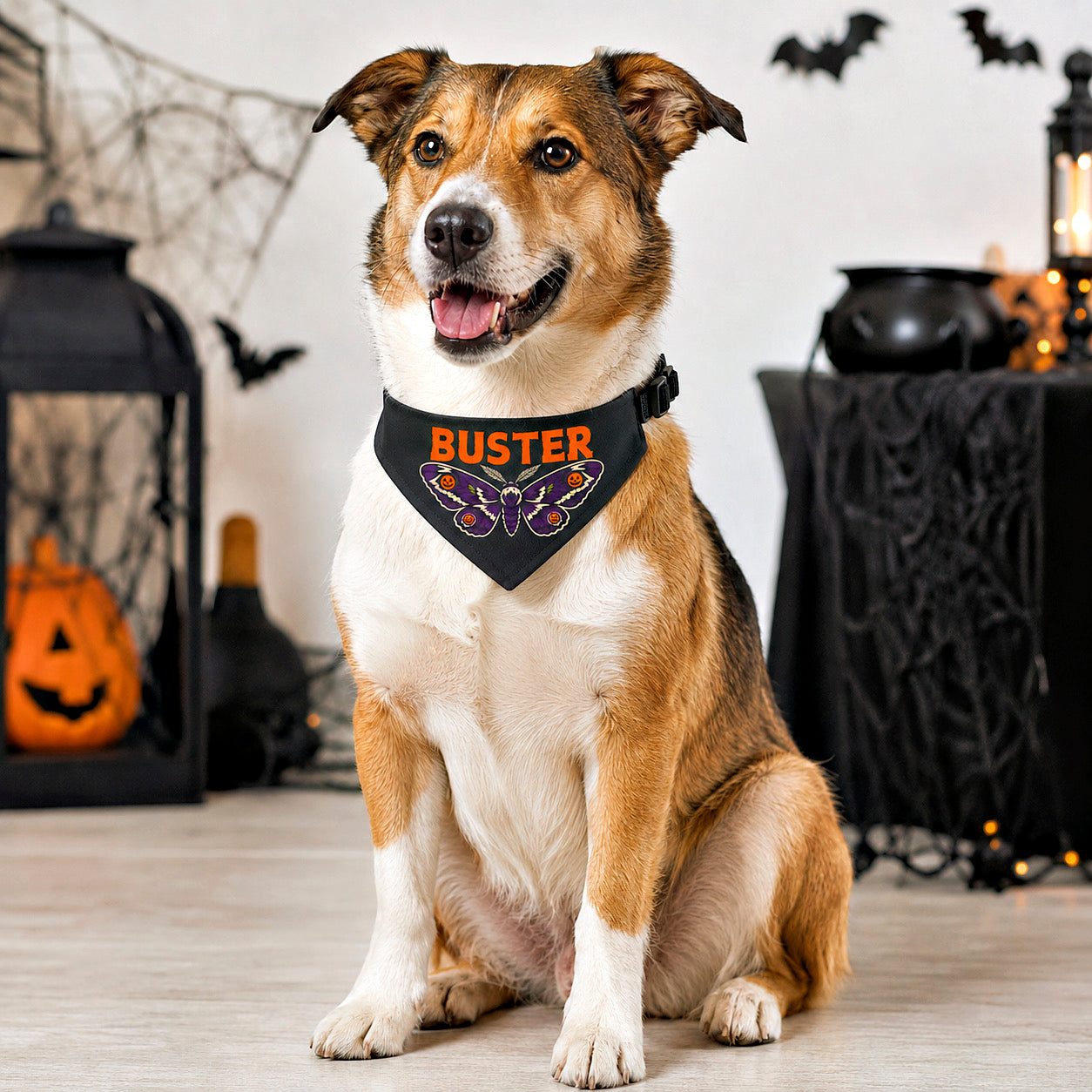 Dog wearing a personalized Halloween dog bandana named Buster surrounded by spooky Halloween decor.