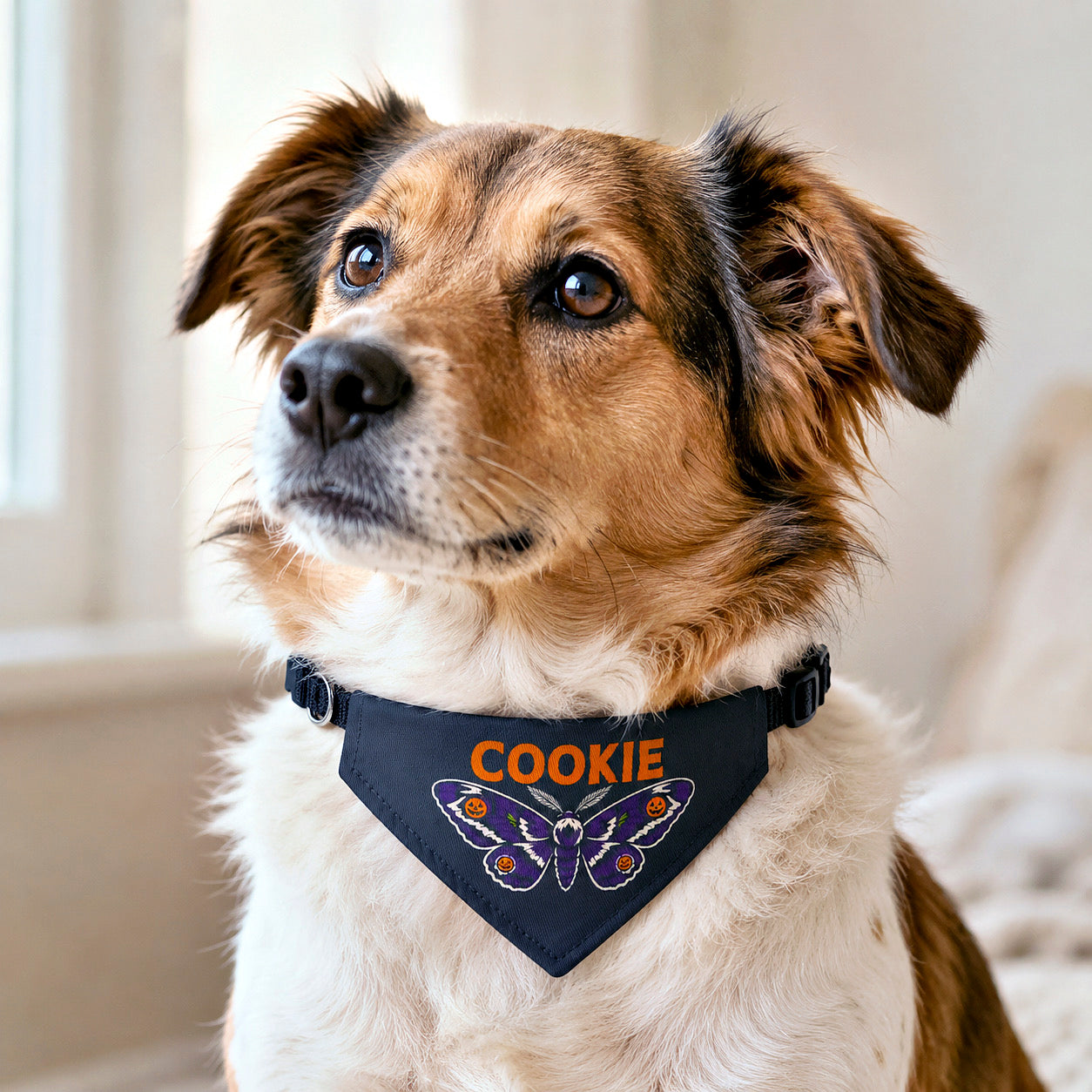 Close-up of a dog wearing a personalized Halloween bandana with the name Cookie.