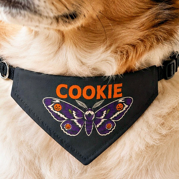 Macro close-up of the moth and jack-o'-lantern design on a Halloween dog bandana.