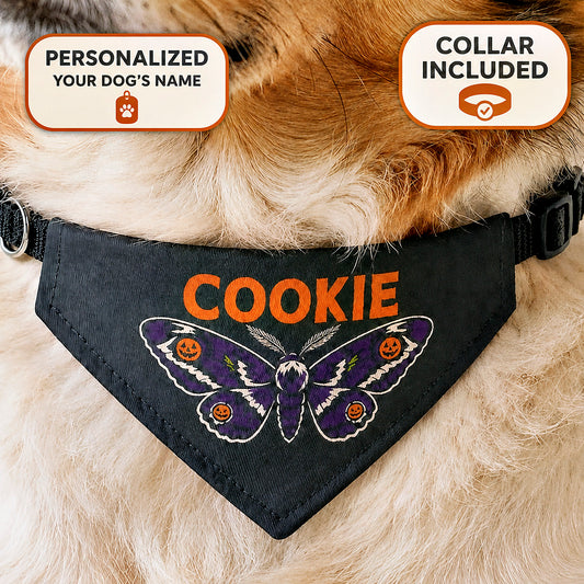 Black Halloween dog bandana with moth design, personalized name, and included clip-on collar.