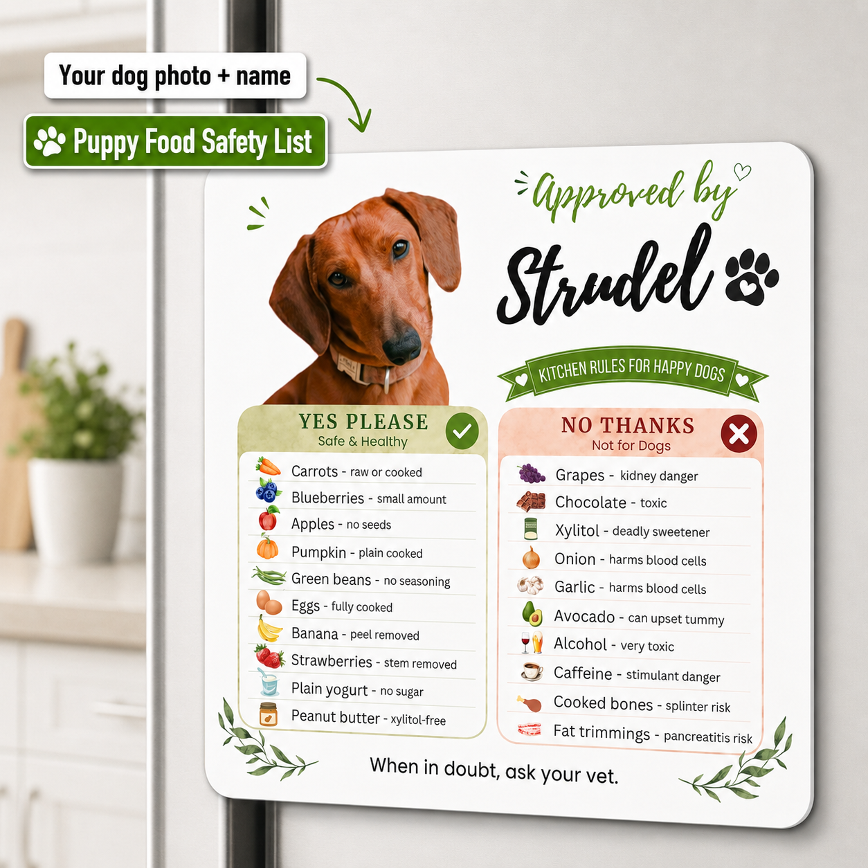 Personalized dog magnet on a fridge showing a dachshund's photo, name, and a printed dog safe foods list.