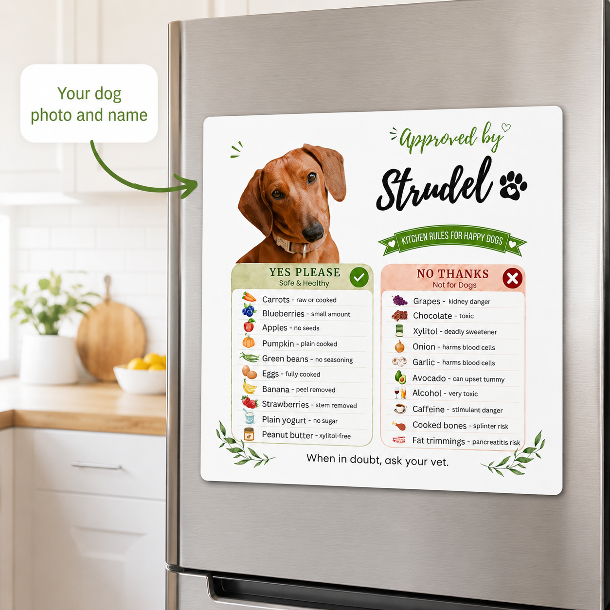 Custom dog magnet with a dachshund's photo and name displayed at an angle on a stainless steel fridge.