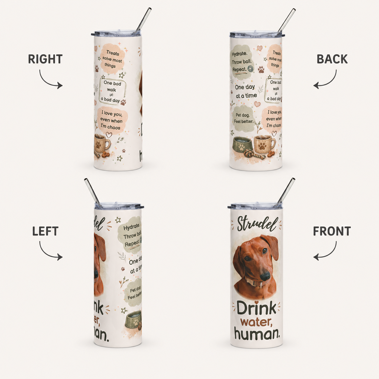 Personalized dog tumbler shown from all four sides - front, back, left, and right - featuring Strudel the dachshund.