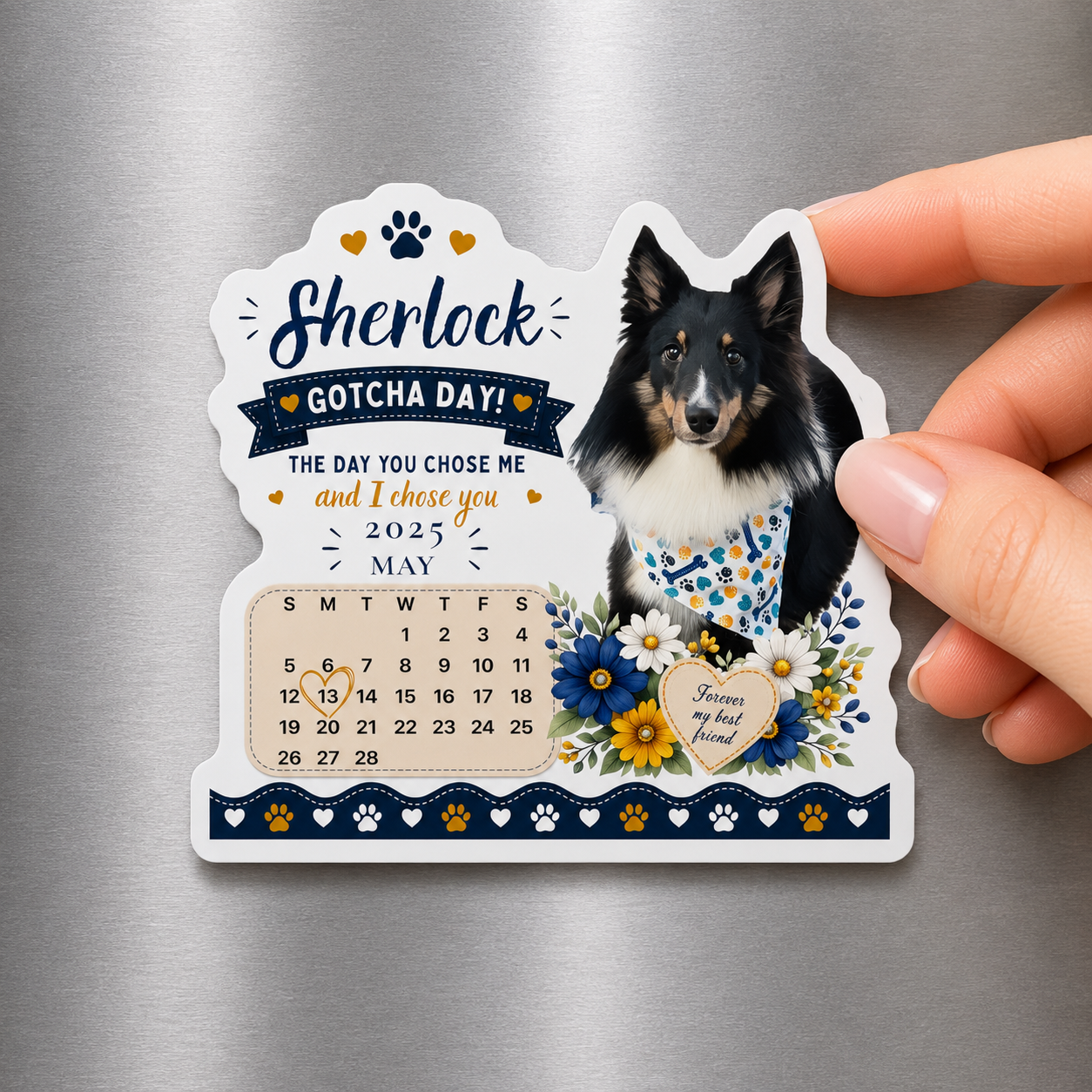 Personalized Gotcha Day magnet for a border collie held up against a stainless steel fridge.