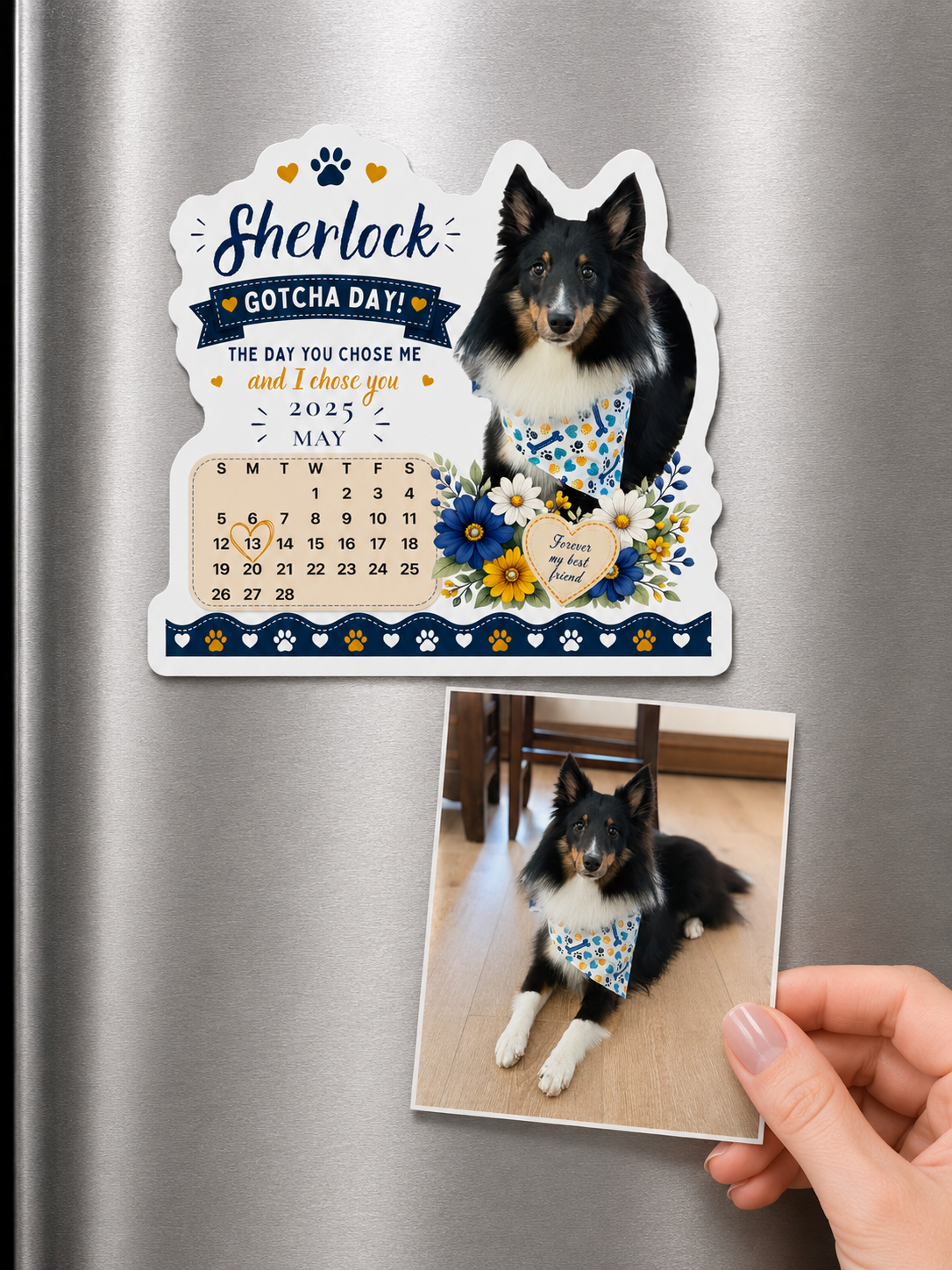 Personalized Gotcha Day magnet for a black-and-white border collie on the fridge beside its original photo.