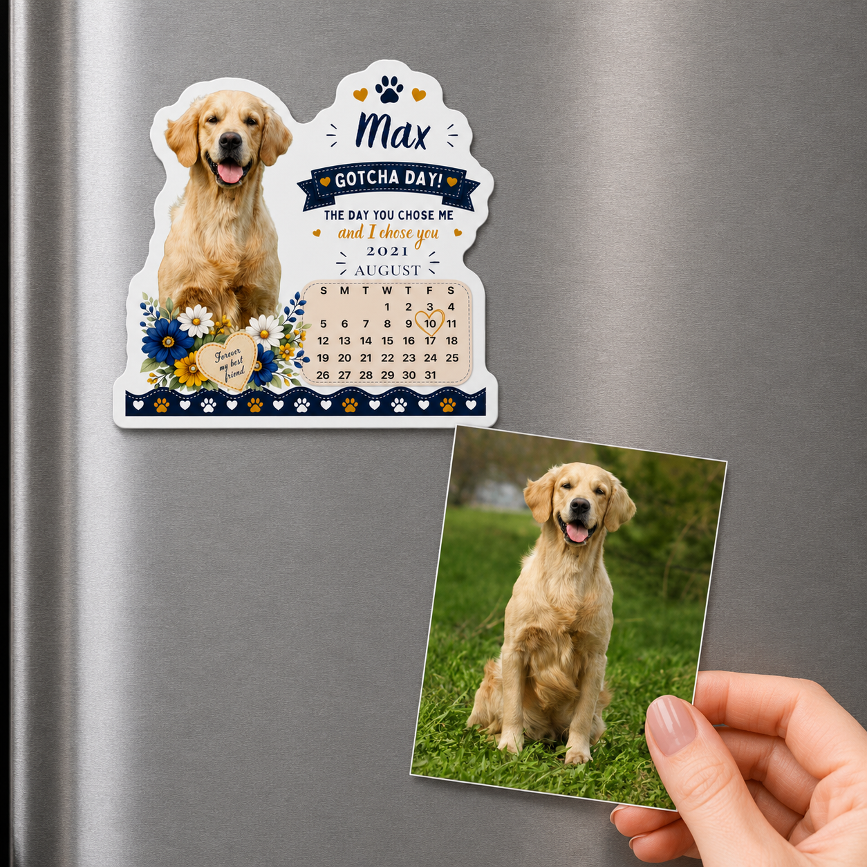 Personalized Gotcha Day magnet for a golden retriever on the fridge beside the original photo it was made from.