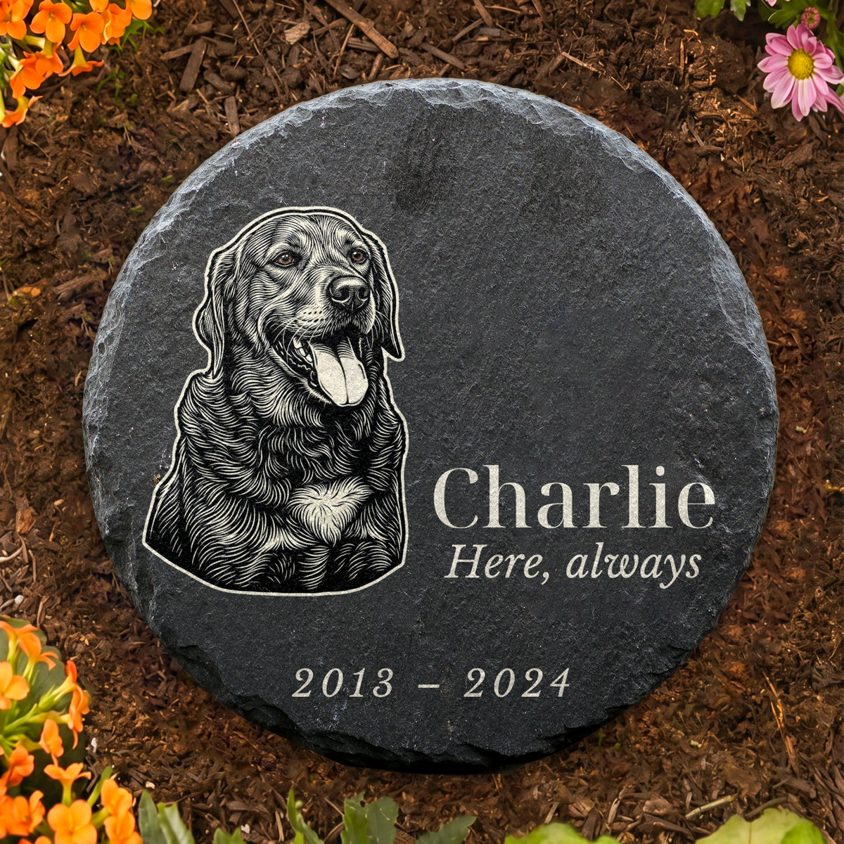 Round slate pet memorial garden stone lying in a mulch bed, with a Labrador portrait, the name Charlie and 2013–2024.