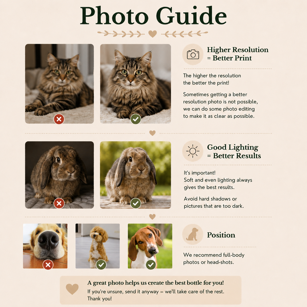 Infographic explaining how to pick a pet photo for the tumbler: resolution, lighting, and pose tips.
