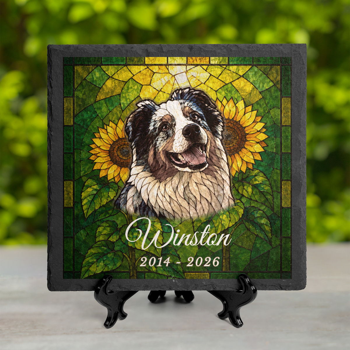 Stained glass dog memorial stone displayed upright on a plate stand, showing Winston's Australian Shepherd mosaic portrait.
