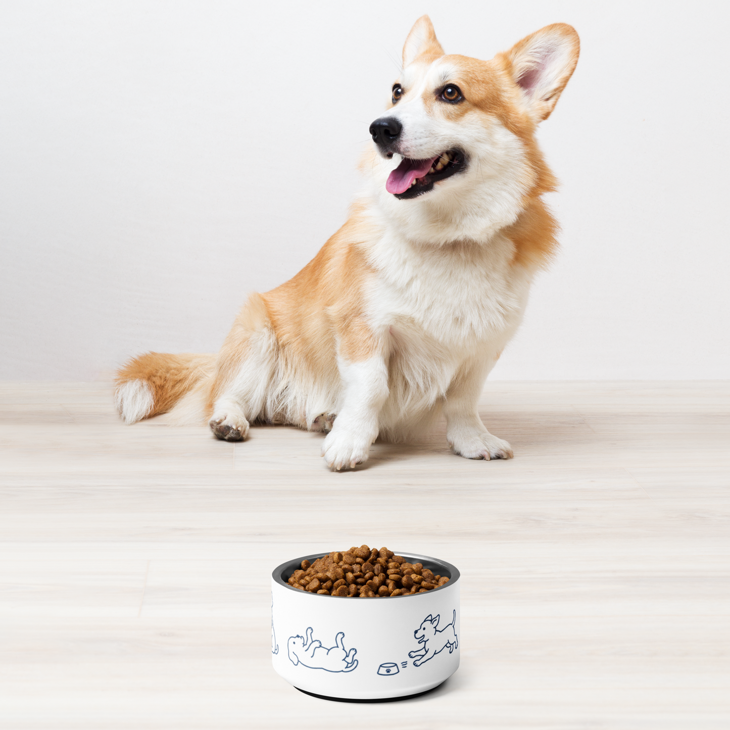 Corgi sitting behind a stainless steel dog bowl filled with kibble