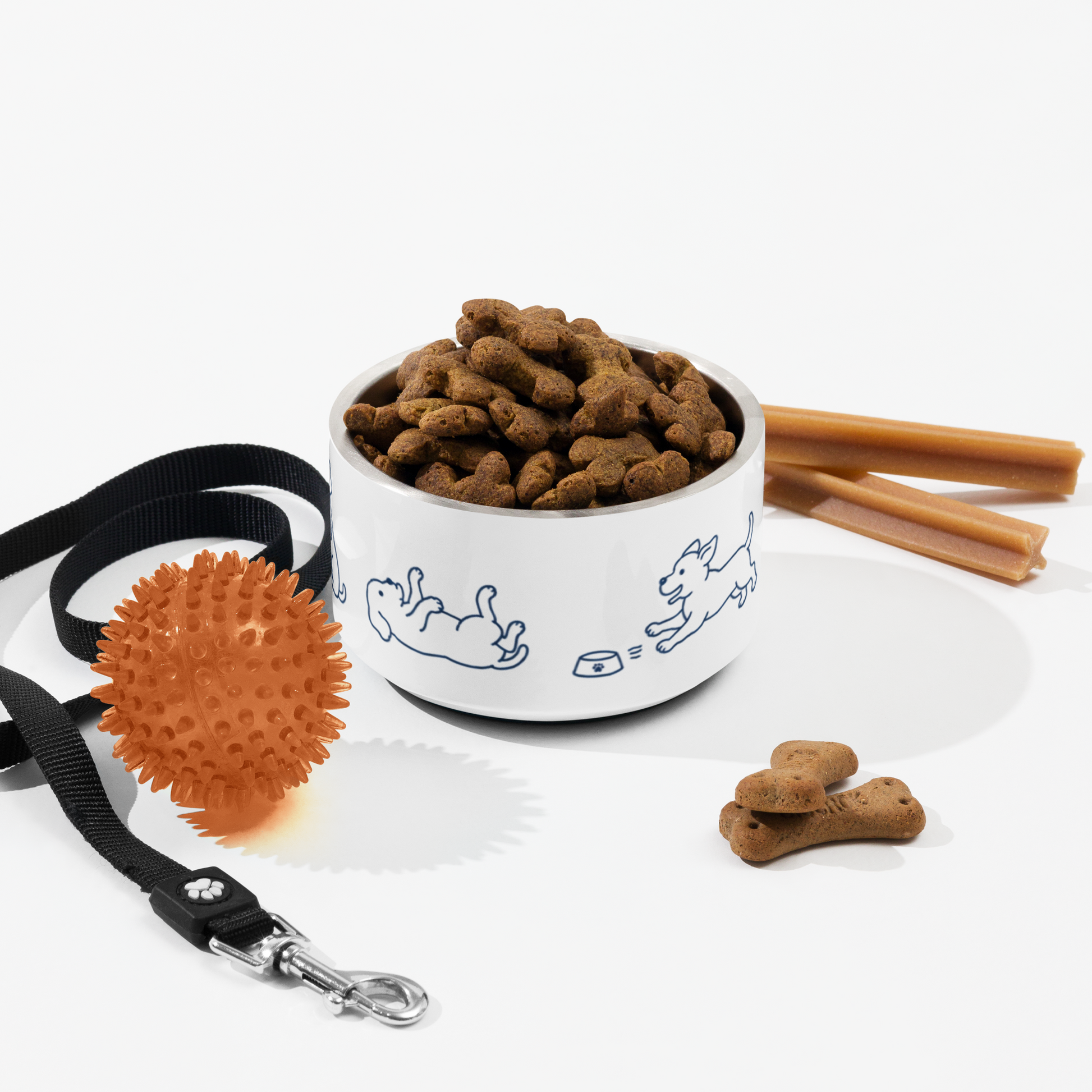 Dog bowl filled with kibble styled with a leash, spiky ball, and dog treats